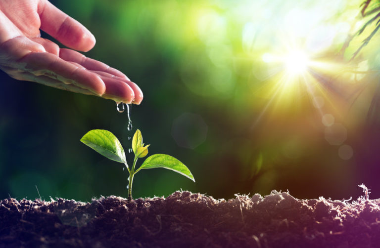Image of watering young plant in reference to agricultural exemption