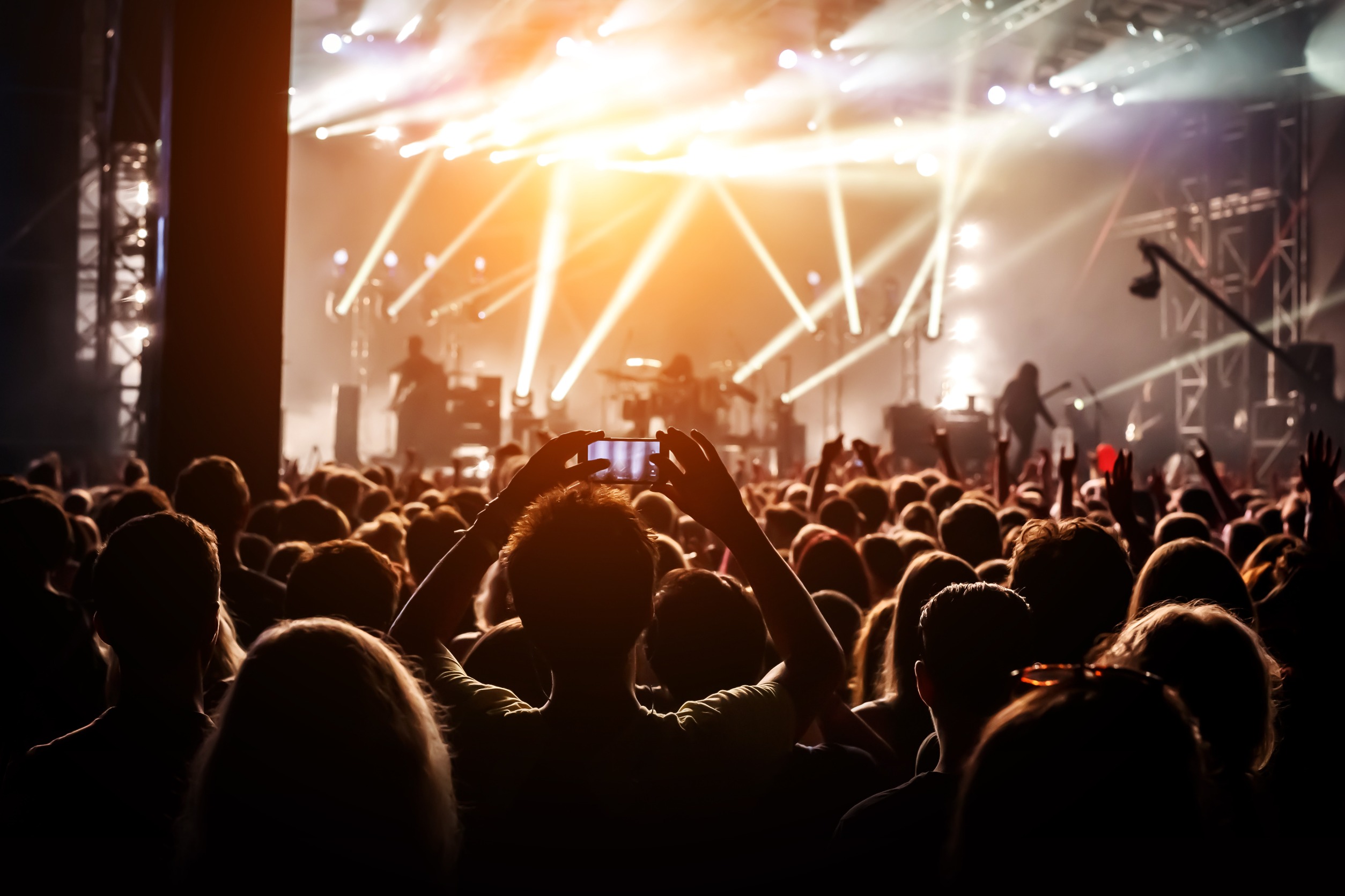 Silhouettes of LiveNation concert crowd